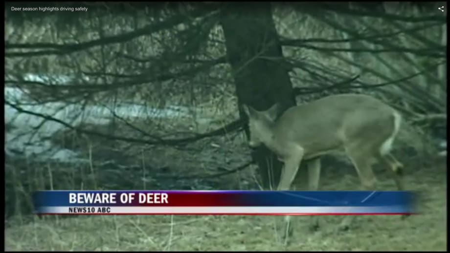 Video Safety Tip: Averting Vehicle-Deer Crashes