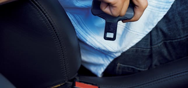 More Truck Drivers Are Buckling Up
