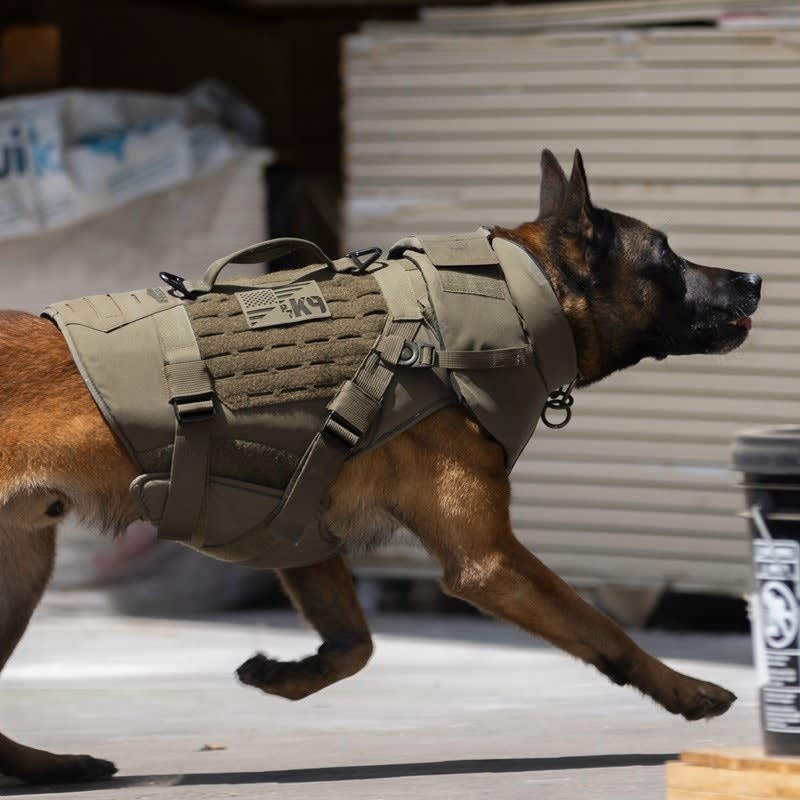 The Road to a Better K9 Vest