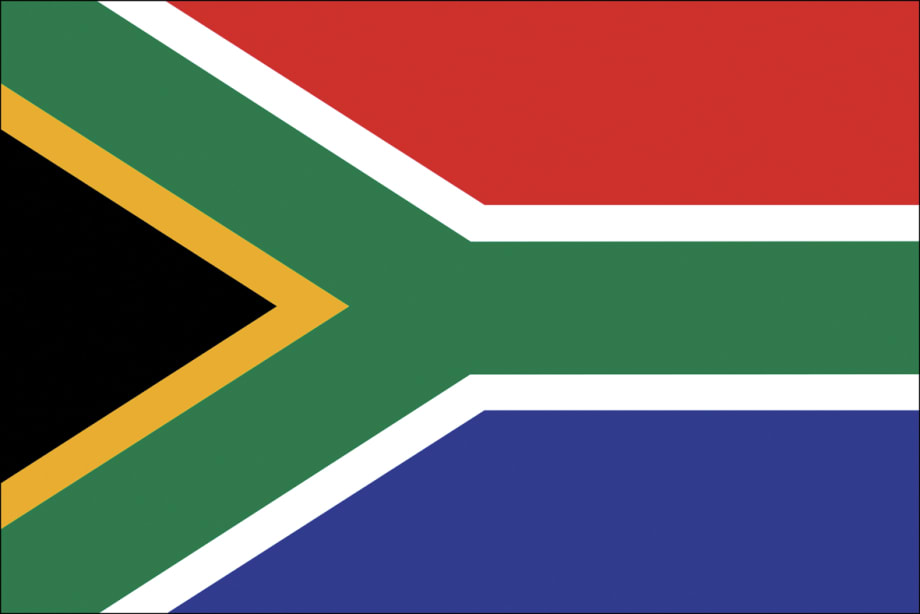 Overview: South African Fleet Market
