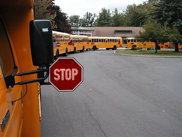 Survey results show rise in illegal school bus passing incidents in New York