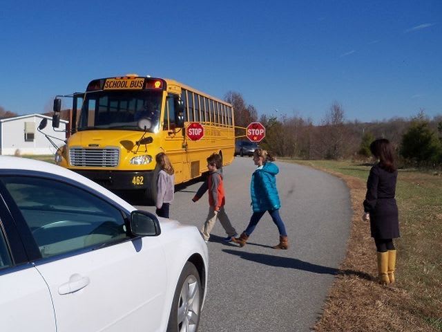 Top 5 most-viewed news of 2015