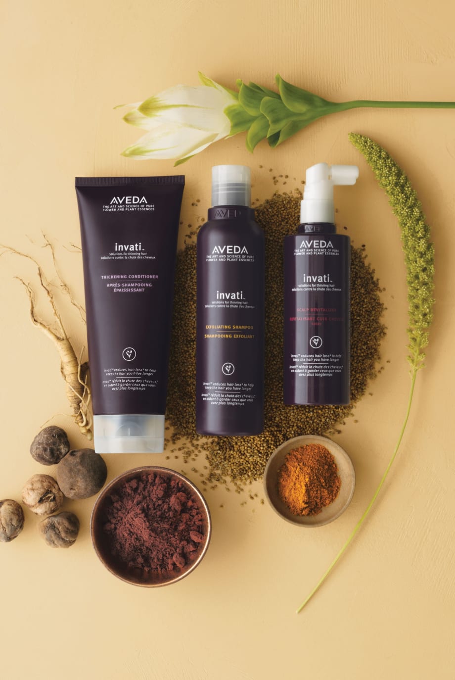 Barbara De Laere Named Senior Vice President/General Manager, Aveda North America