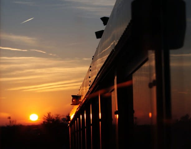 Roger's Last Ride: Putting Our Compassion Into Action