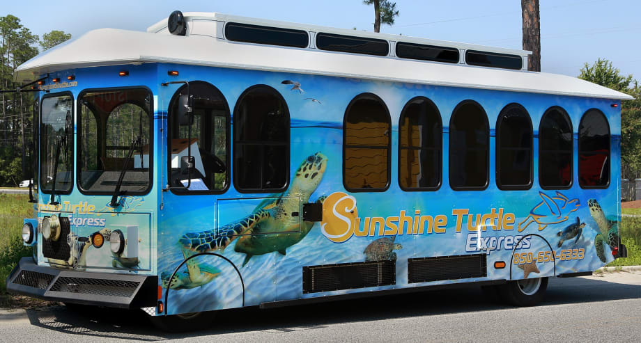 Fla. launches pilot public transportation system