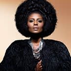 COLLECTON: Harlem Renaissance by Mizani