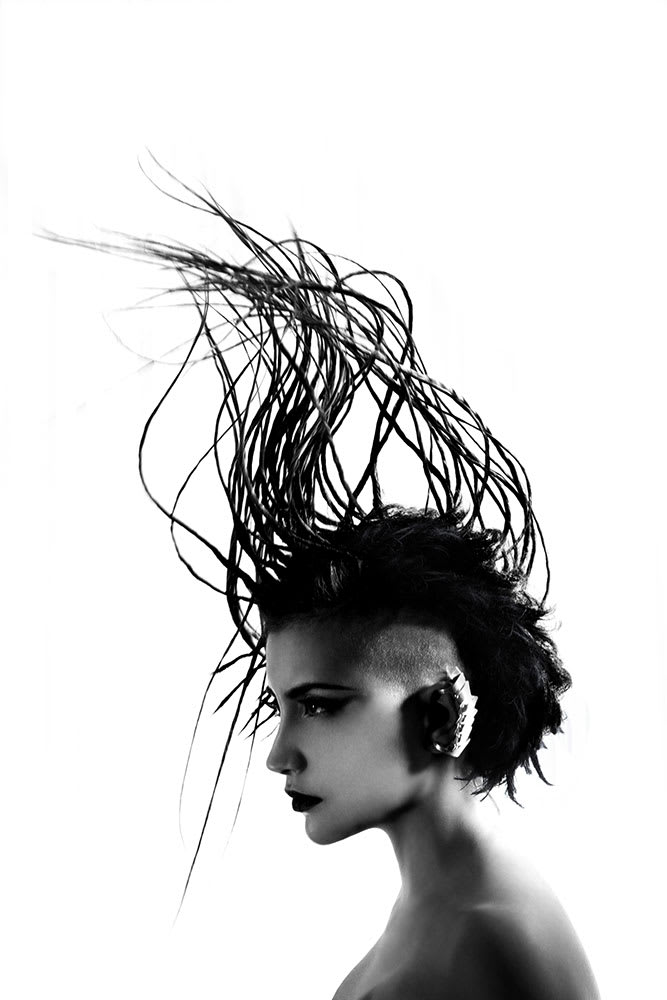 Meet the 2014 NAHA Finalist: Mark Dolan | Texture