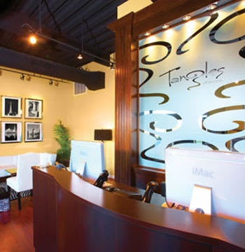 Salon of Distinction: Tangles of Evans