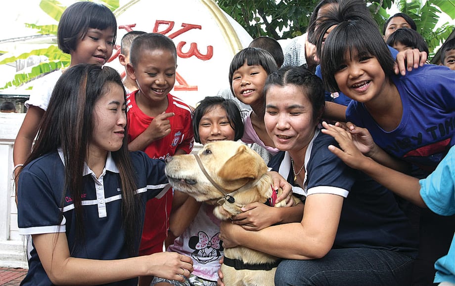 A Dog's Tale