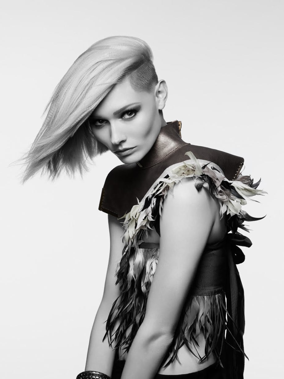 America’s Beauty Show by Cosmetologists Chicago Announces the 2019 ABS Global Image Awards Winners!