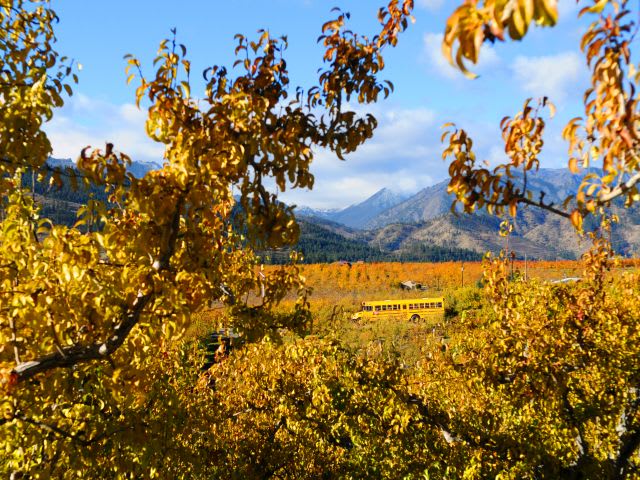 Take Aim for <I>School Bus Fleet</i>’s Photo Contest