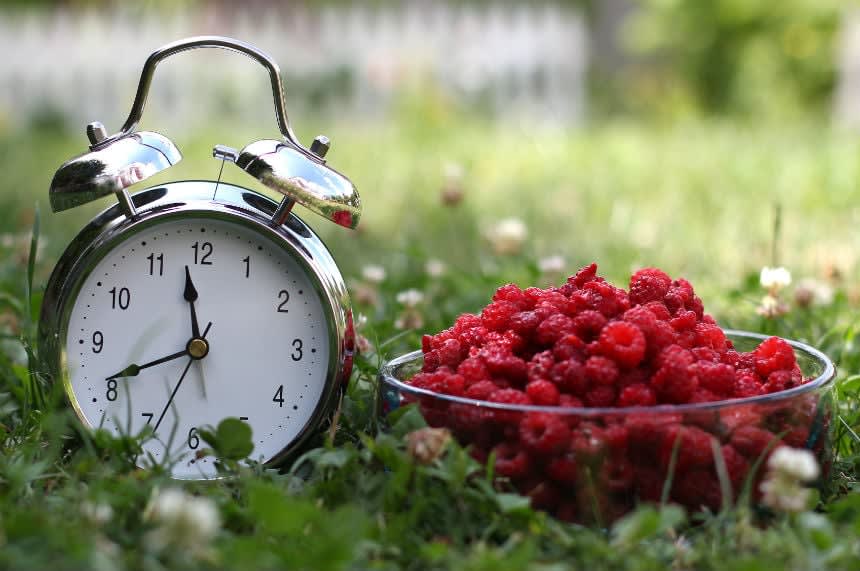 Timing Your Foods for Stomach Health