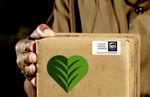 Natural gas, fuel surcharges and carbon credits