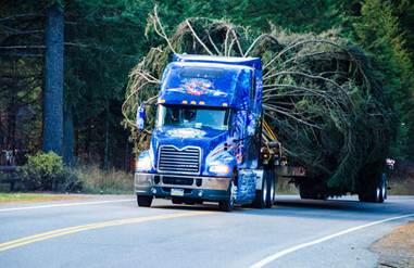 Capitol Christmas Tree is Bound for Washington, D.C. on a Mack Pinnacle
