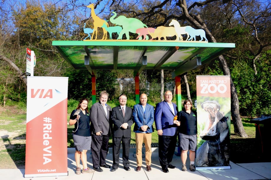 San Antonio's VIA unveils zoo-themed bus stop shelters