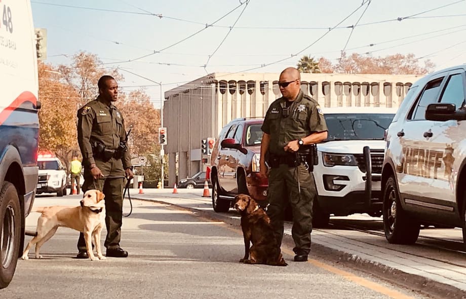 Santa Clara VTA adds 2 bomb-sniffing dogs