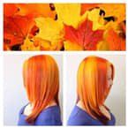The Colors of Autumn
