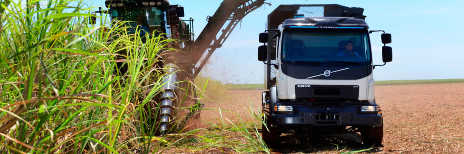 Robots in the Jungle