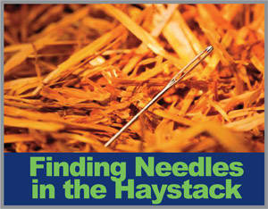 Finding the Needles in the Haystack Under CSA 2010