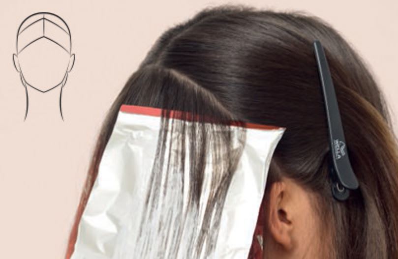 HOW-TO (With Steps!): Molten Glow Ecaille Haircolor Tutorial