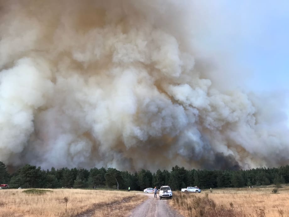 Photo of wildfire smoke against a horizon with several white emergency vehicles parked at the end of a road