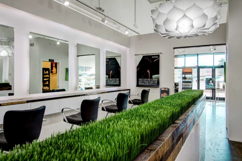 Salons of the Year 2016: Zandi K. Salon