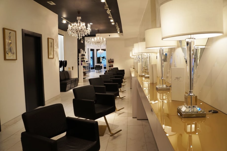 Salons of the Year 2017: Zazu Salon