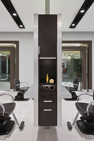 Dino Palmieri Salon and Spa