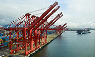 Long Beach Port Cargo Volume Hits Best Levels in Nearly Three Years