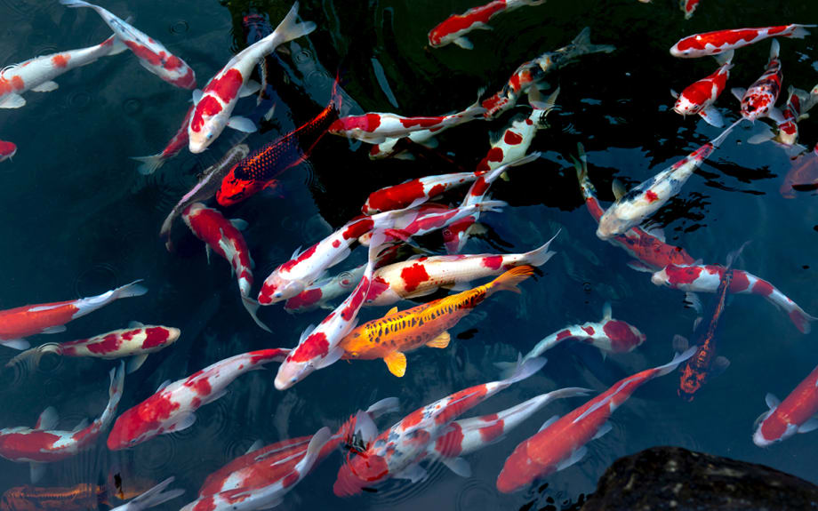 4 New Dealer Digital Marketing Tactics