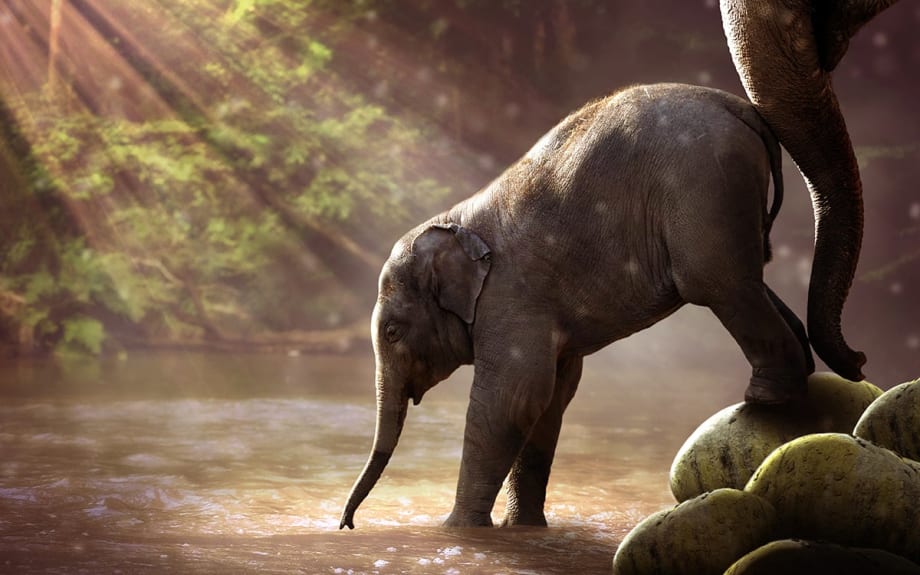 Why Dealership Staff Fear Digital Retailing (and What to Do About It)