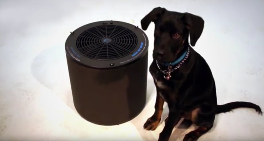 "The One That Works" Salon Air Purifier - FAQ's