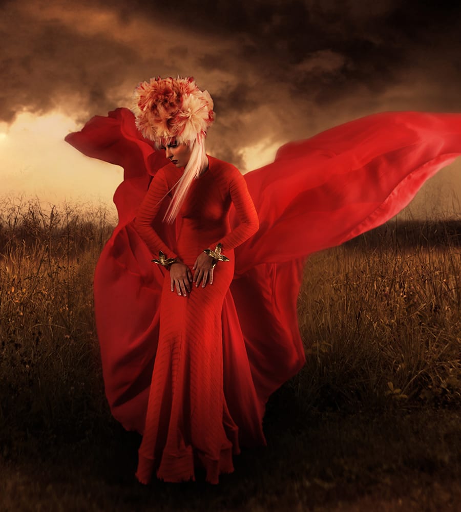 2022 NAHA Finalists: Avant Garde