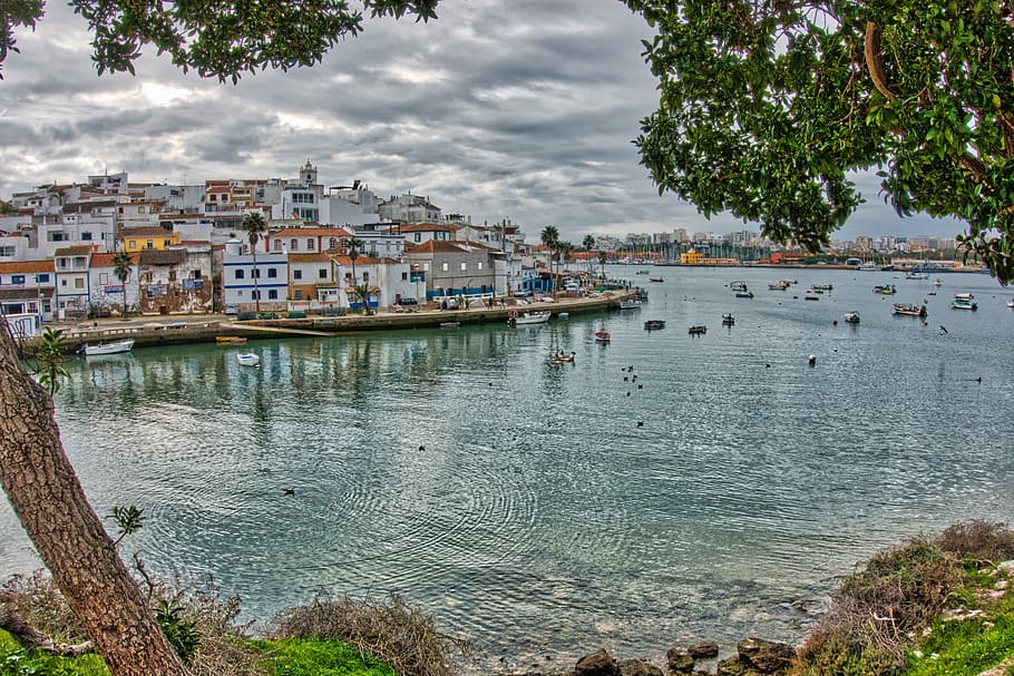 Portuguese Car Rental Industry Faces Financial Crisis