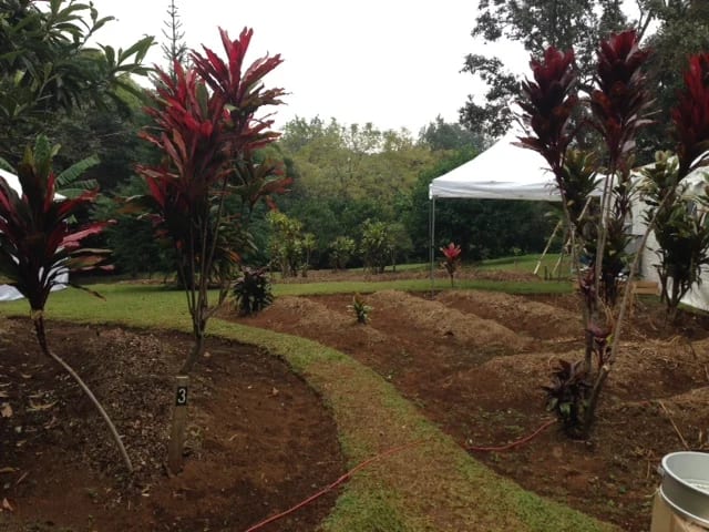 A Tour of the Paul Mitchell Awaphui Farm Kicks Off the Hawaii Seminar