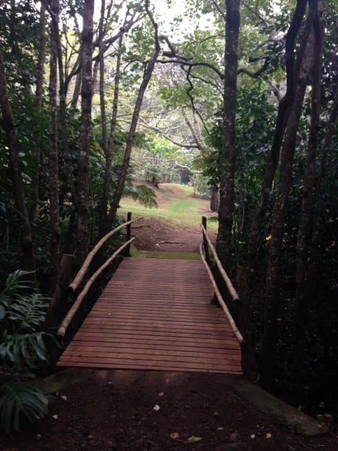 A Tour of the Paul Mitchell Awaphui Farm Kicks Off the Hawaii Seminar