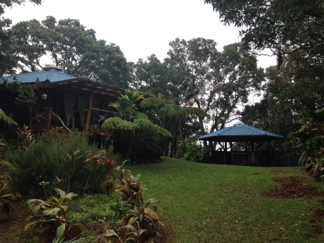 A Tour of the Paul Mitchell Awaphui Farm Kicks Off the Hawaii Seminar