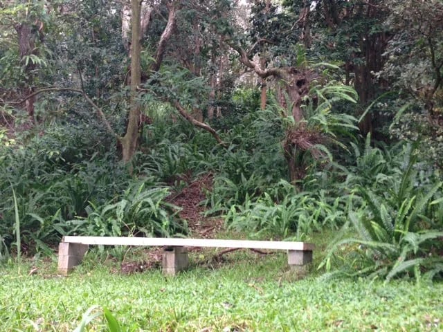 A Tour of the Paul Mitchell Awaphui Farm Kicks Off the Hawaii Seminar