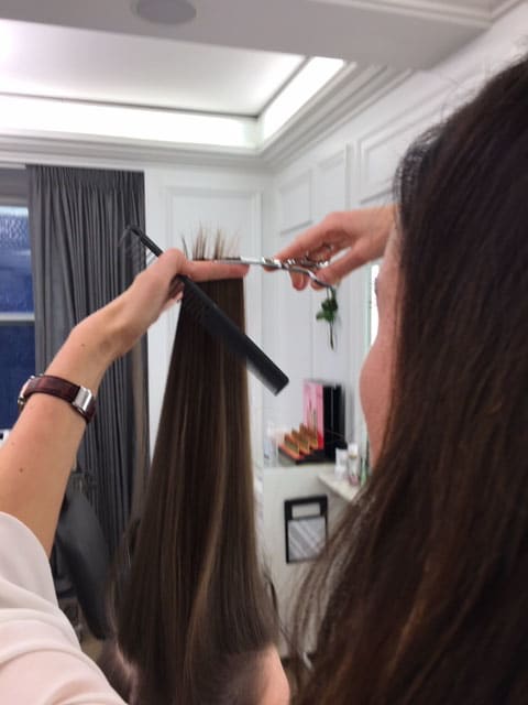 The Easy to Maintain Basic Cut