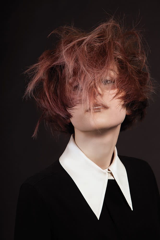 Apparition Collection by diPietro Todd Academy