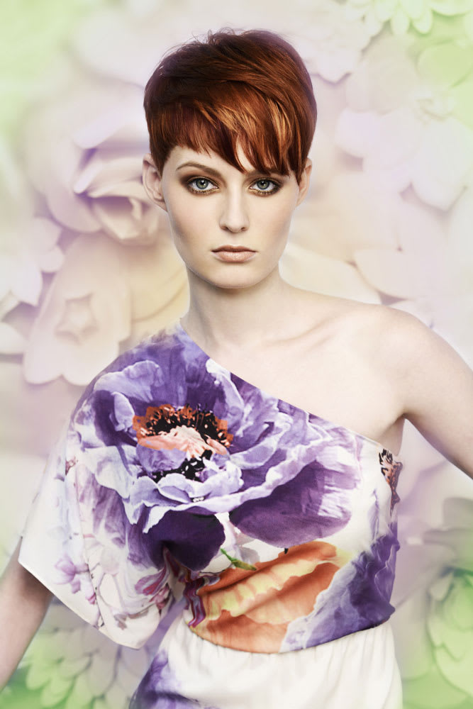 Paint Box Hair Color