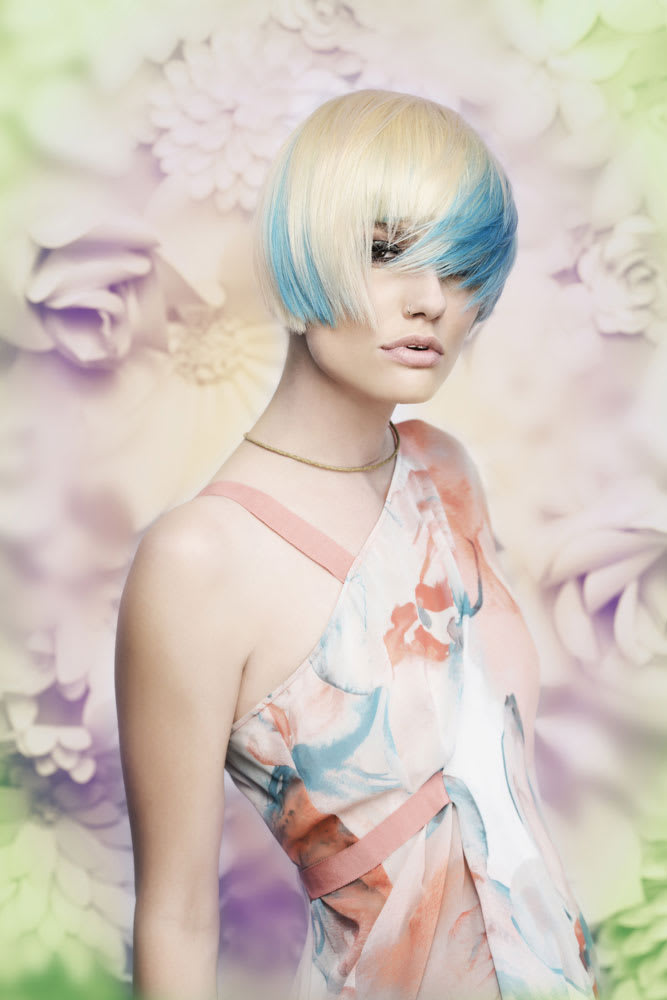Paint Box Hair Color