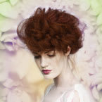 Paint Box Hair Color