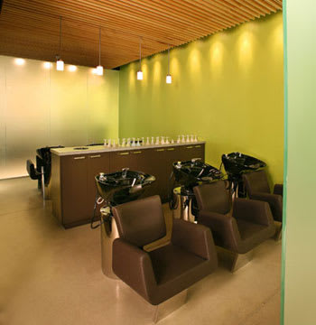 Salon of Distinction: Ashka Salon & Spa Green Oak