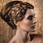 HOW-TO: A Modern Beehive