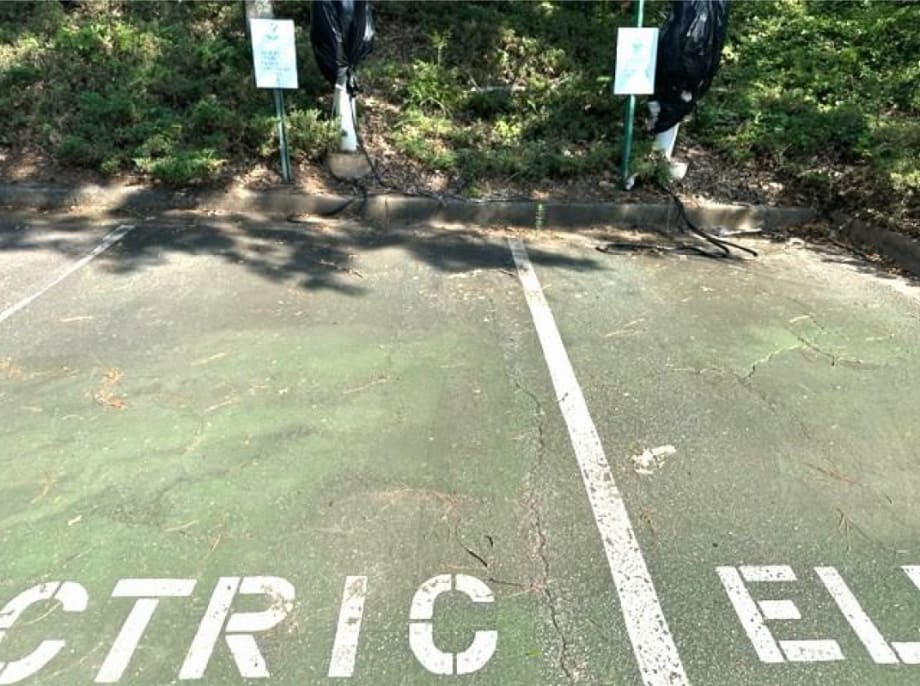 Flavor of the Decade – The Current State of Play