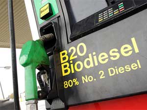 Study Questions Carbon Footprint of Biodiesel