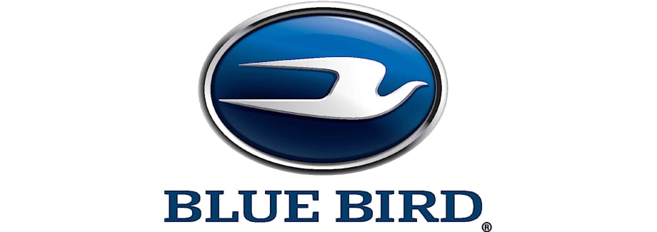 Blue Bird Files Shelf Registration Stock Statement