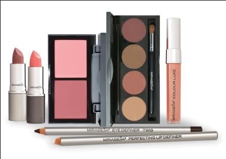 A Bridal Make Up Kit, Perfect For The Professional Make Up Artist