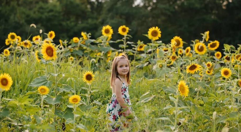 Missouri Auto Auction Raises Funds in Honor of 4-Year-Old Girl